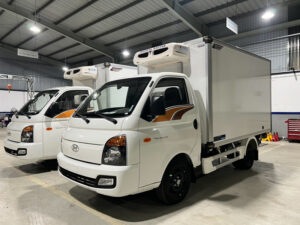 Hyundai H150 thùng đông lạnh Quyền Auto có 3 phiên bản sửa dụng vật liệu đến từ Châu Âu, Châu Á để khách hàng lựa chọn. Đáp ứng nhu cầu vận chuyển hàng hoá của minh. 